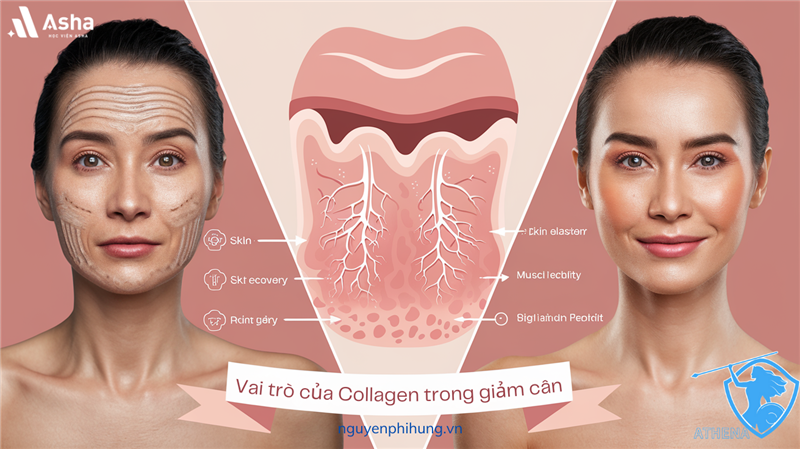 Tại Sao Cần Bổ Sung Collagen Khi Giảm Cân?