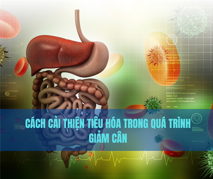 Cách Cải Thiện Tiêu Hóa Trong Quá Trình Giảm Cân