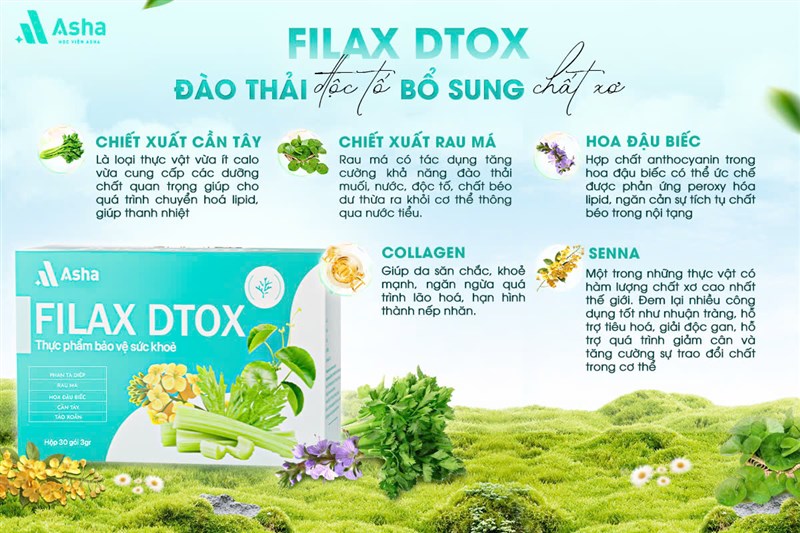 Các Bước Detox Hiệu Quả Với Filax DTOX Của Asha