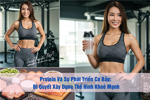 Protein Và Sự Phát Triển Cơ Bắp: Bí Quyết Xây Dựng Thể Hình Khoẻ Mạnh 